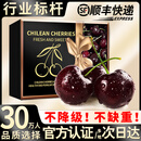 松筱智利车厘子【JD顺丰-多地次日达】进口樱桃水果礼盒送礼物 3斤(净重) 果王3J级【85%人选择】