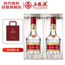 五粮液 普五八代 浓香型白酒 52度 500ml*2 双瓶 年份随机发货