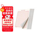 六品堂 米字格硬笔书法纸练字本 田字格方格小学生钢笔专用作品纸米字格（套装15本）
