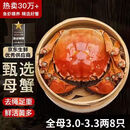 【活蟹】漁家师傅大闸蟹全母3.0-3.3两8只去绳足重鲜活螃蟹现货生鲜水产海鲜礼盒