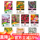 花沃里10款花种子套餐 花卉种子组合太阳花凤仙花向日葵四季种野花种籽