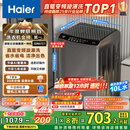 海尔（Haier）波轮洗衣机全自动小型家用10公斤EB100B32Mate1 直驱变频京东自营家电国家补贴一级能效出租房宿舍