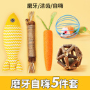 HELLOJOY猫玩具逗猫棒猫薄荷逗猫木天蓼小猫自嗨解闷神器猫咪磨牙棒用品