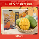 京鲜生树上熟 凯特芒果 净重10斤 5-7颗 生鲜水果 中秋礼盒
