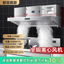 郡冠【包安装】商用油烟净化一体机全套抽油烟机大吸力餐饮饭店酒店厨房设备火锅店烧烤炸鸡店吸油烟机 【水循环静电款】250*130*127cm可排室内 免费上门安装【旗舰款】
