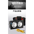 顶点双头钓鱼氙气灯北京H9000升级版H20000氙气钓鱼灯疝气钓鱼 H20000灯+16.8v300a锂电(强光用1