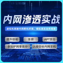 智榜样-网安开发技能VIP课 红色