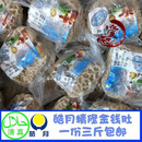 食怀皓月牛肚金钱肚1斤装*3清真牛杂 精修冷冻生制火锅非百叶一份三斤 1箱 1 1500g