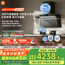 米家小米欧式顶吸抽油烟机净烟机P2 家电国家补贴20%以旧换新上门安装天然气燃气灶MJ06CY【套装商品】