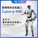 BORG CO 赛博格Cyborg R01全尺寸仿生人形机器人 全身62个自由度 20kg重负载 支持二次开发