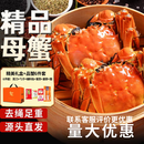 【活蟹】湖中秋色全母大闸蟹3.0-3.3两8只去绳足重螃蟹鲜活海鲜生鲜中秋送礼盒源头直发