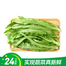 【24小时菜】油麦菜 300g