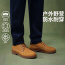 添柏岚（Timberland）男鞋马丁靴户外徒步登山防泼水皮革低帮大黄靴耐磨美式工装靴 A1P3LW/建议拍小半码/231小麦色 43