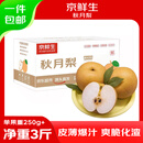 京鲜生山东烟台莱阳秋月梨净重3斤单果250g+ 新鲜水果 源头直发包邮