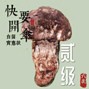 雅江松茸生鲜预热黑新鲜掉级适合自留非云南新鲜掉级破 四级全开破膜新鲜松茸 500g