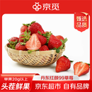京觅 丹东红颜99草莓净重1.5斤单果20克起 久久奶油草莓  源头直发