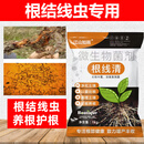 江山如画根线清微生物菌剂肥淡紫紫孢菌根线虫专用根结腐烂生根重茬土壤用 根线清批发3箱（60袋）
