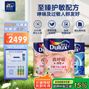 多乐士（Dulux）森呼吸淳零护敏竹炭全效防霉抗菌儿童漆乳胶漆A8207白色套装15L