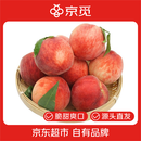 京觅山东金秋红蜜桃 净重4.5斤 单果150g+ 新鲜水果 源头直发