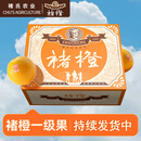 褚橙 云南冰糖橙  一级果 M 10斤装 单果约100g起 生鲜水果礼盒