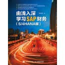 由浅入深学习SAP财务（S/4HANA版）