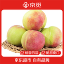 京觅正宗山东青州蜜桃 净重4.5斤装 单果70g+ 生鲜水果 源头直发