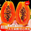 闽域寻鲜广西红心牛奶木瓜新鲜【多地次日达】当季水果软嫩香甜青皮木瓜 热销活动款：5斤（单果350g+）净重4.5斤