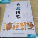 【二手9成新】鱼胶图鉴 /董蕙 广东海燕电子音像