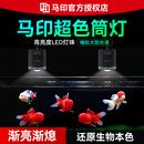马印筒灯全光谱LED鱼缸灯金鱼锦鲤爆藻增色灯 100W超色筒灯+支架【5-100W  可调节】