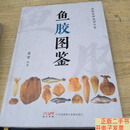 [二手9成新]鱼胶图鉴 /董蕙