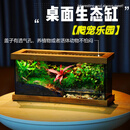 创意室内桌面微景观摆件全套造景成品办公室迷你盆栽生态瓶礼物 爬宠乐园（含定时灯）成品