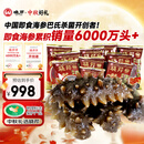 晓芹大连即食海参3斤35-50只 固形物75%  辽刺参 海鲜水产 中秋礼品