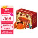 【活蟹】漁家师傅大闸蟹全母3.0-3.3两8只去绳足重鲜活螃蟹现货生鲜水产海鲜礼盒