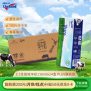 纽仕兰草饲3.5g蛋白高钙全脂纯牛奶100%生牛乳250ml*24盒整箱新西兰进口