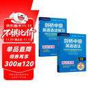 剑桥中级英语语法+练习套装 赠视频讲解课（剑桥“英语在用”English in Use丛书 第五版中文版 套装共2册）