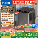 海尔（Haier）波轮洗衣机全自动小型家用10公斤EB100B32Mate1 直驱变频京东自营家电国家补贴一级能效出租房宿舍