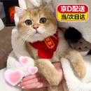 智宙猫咪围脖猫咪围巾小猫围脖宠物围巾新年饰品狗狗过年圣诞小狗围兜 锦鲤款【招财】 可调节（5-20斤）