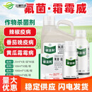 拜耳银法利霜霉威盐酸盐氟吡菌胺 蔬菜果树葡萄霜霉疫病黑胫病杀菌剂 1000ml