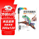 经典全集《彩铅基础教程》零基础入门教材自学手绘临摹初学者儿童成人物书籍风景动物多肉植物花卉美食篇画册