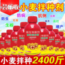 苗沃芸乐收小麦拌种剂花生玉米通用型包衣剂防虫防病生物肥料 苗沃芸乐收【小麦拌种剂】 40瓶【拌种2400斤】防虫/防病
