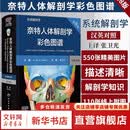 奈特人体解剖学彩色图谱 系统解剖学 汉英对照 第8版 人民卫生出版社 美弗兰克·奈特 编 张卫光 译 书籍 图书