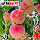 唯亭美云南大理冬桃当季新鲜高山冬桃脆桃硬桃毛桃脆甜非水蜜桃新鲜水果 特级特大果【带箱5斤】商超甄选