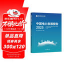 中国电力发展报告.2025