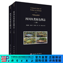 [按需印刷]四川鱼类原色图志（上下册）/郭延蜀 科学出版社