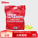 Wilson威尔胜无压力训练网球 袋装网球 练习网球 60个 WRT136000 
