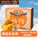 褚橙 云南冰糖橙  珍品果 XXL 10斤装 单果约200g起 生鲜水果礼盒