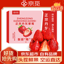京觅 丹东草莓99红颜奶油水果礼盒生鲜净重2斤装 单果15g+ 源头直发