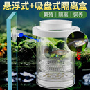 过凡（GUOFAN）孵化盒孔雀鱼鱼缸繁殖隔离盒小型鱼卵鱼苗斑马鱼斗鱼缸内水族用品