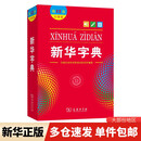 新华字典 大字本第12版
