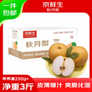京鲜生山东烟台莱阳秋月梨净重3斤单果250g+  新鲜水果 源头直发包邮